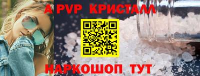 спиды Гай