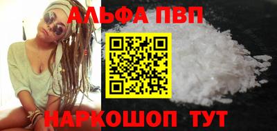 спиды Гай