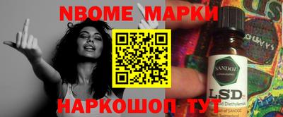 мдпв Гатчина