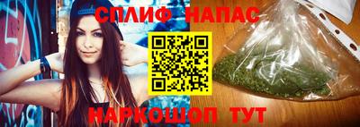 спиды Гай