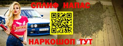 гашик Гагарин