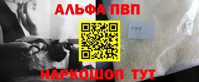 спиды Гай