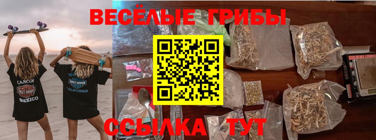 Мценск  Псилоцибиновые грибы GOLDEN TEACHER  Псилоцибиновые грибы прущие грибы  Вход с VPN 