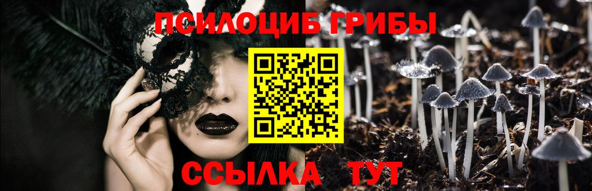 Галлюциногенные грибы GOLDEN TEACHER Мценск